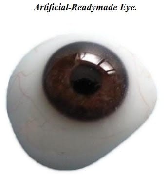 Artificial-Readymade-Eye