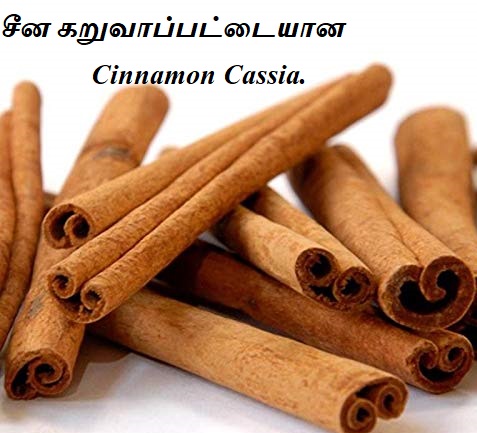 Cinnamon Cassia