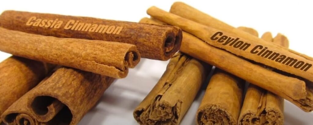 Real cinnamon vs Fake cinnamon